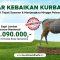 1/7 Kurban Sapi Sebaran Nasional
