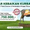 1/7 Kurban Sapi Sebaran Lokal